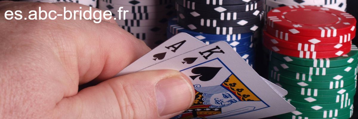 es.abc-bridge.fr